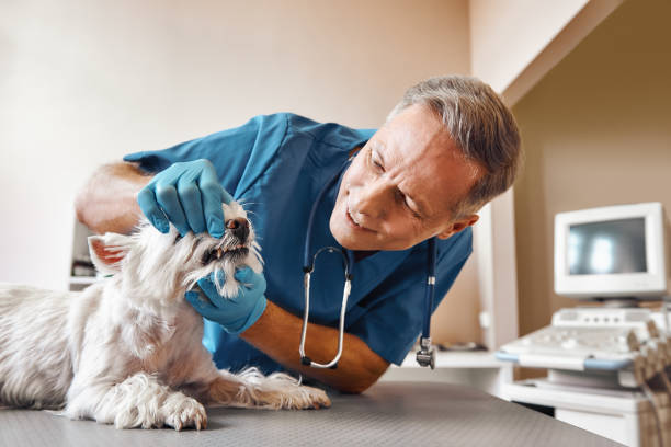  Conyers, GA Emergency Dentist Pros